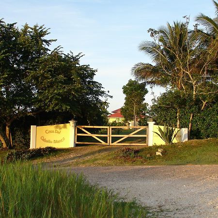 Casa Del Caballo Blanco Hotel San Ignacio Bagian luar foto