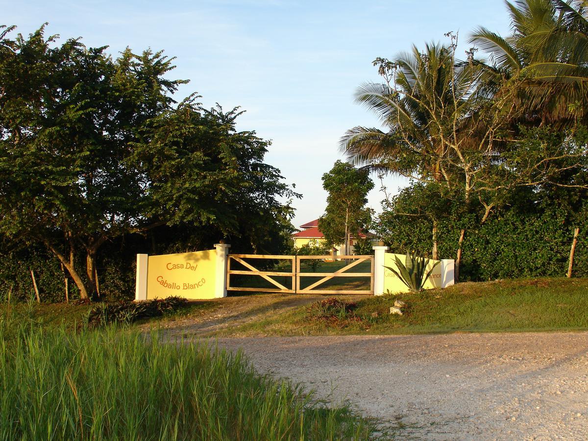 Casa Del Caballo Blanco Hotel San Ignacio Bagian luar foto