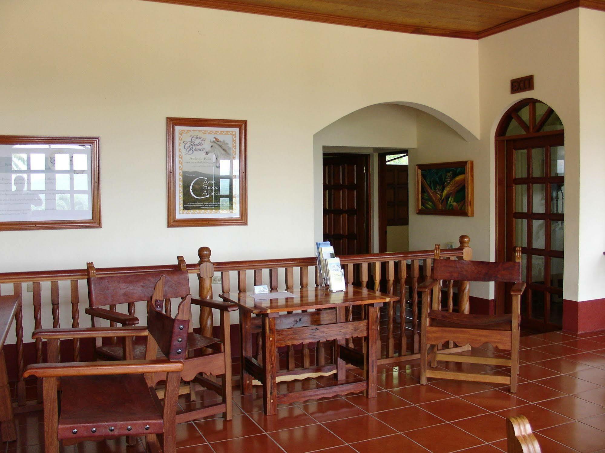 Casa Del Caballo Blanco San Ignacio Bagian luar foto