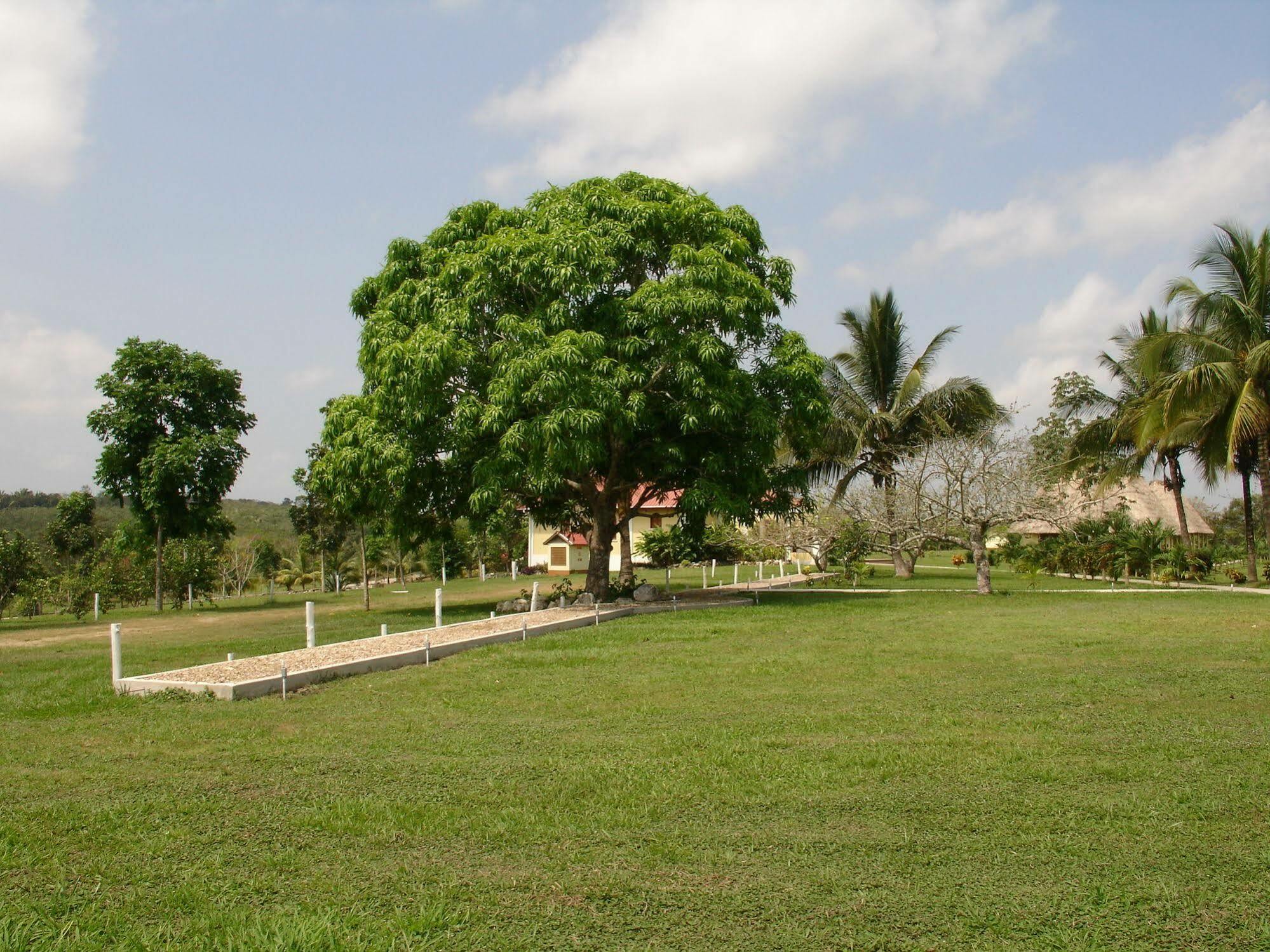 Casa Del Caballo Blanco Hotel San Ignacio Bagian luar foto