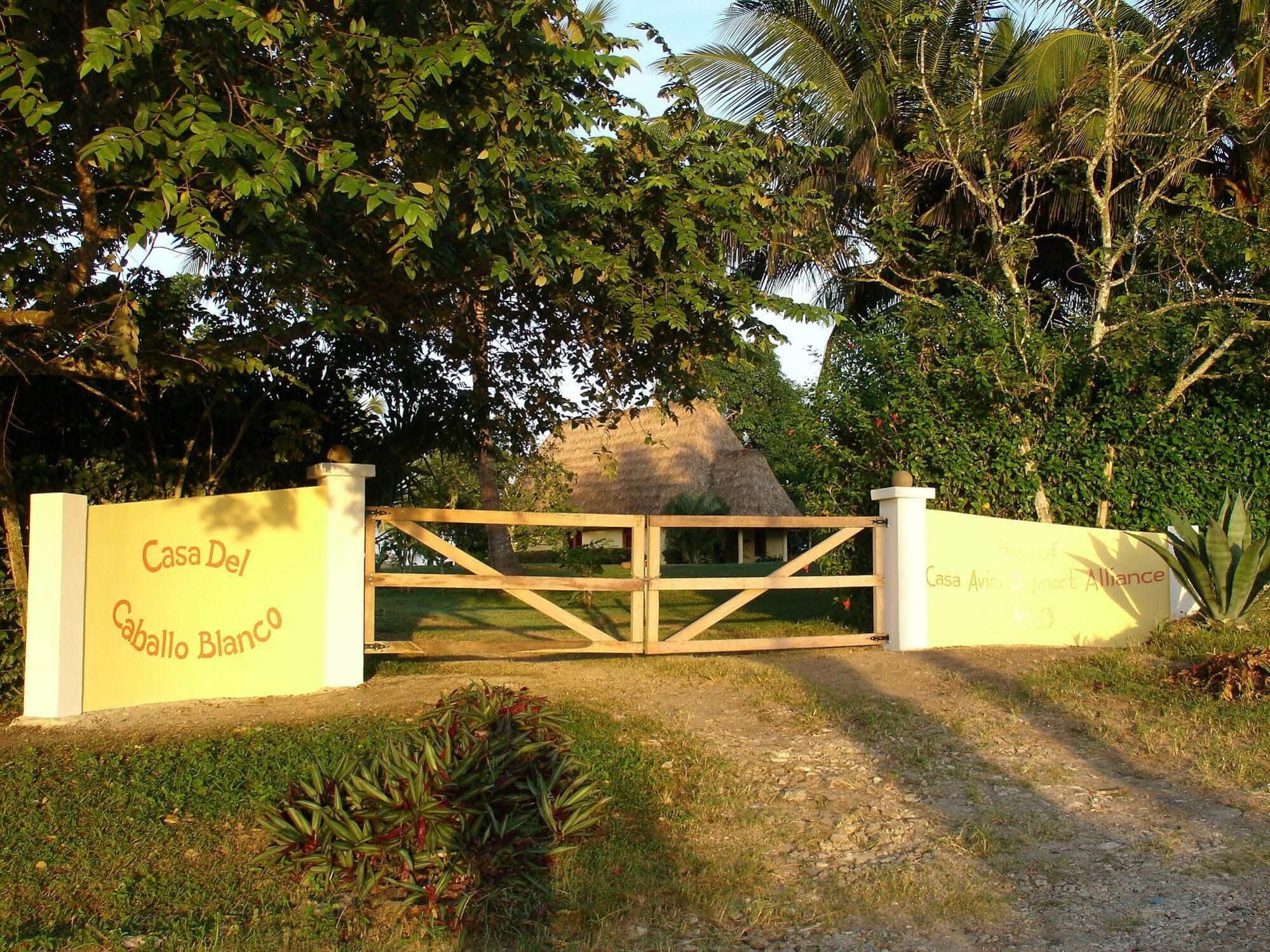 Casa Del Caballo Blanco Hotel San Ignacio Bagian luar foto