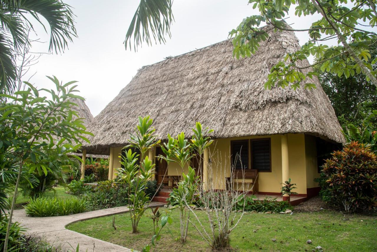 Casa Del Caballo Blanco Hotel San Ignacio Bagian luar foto